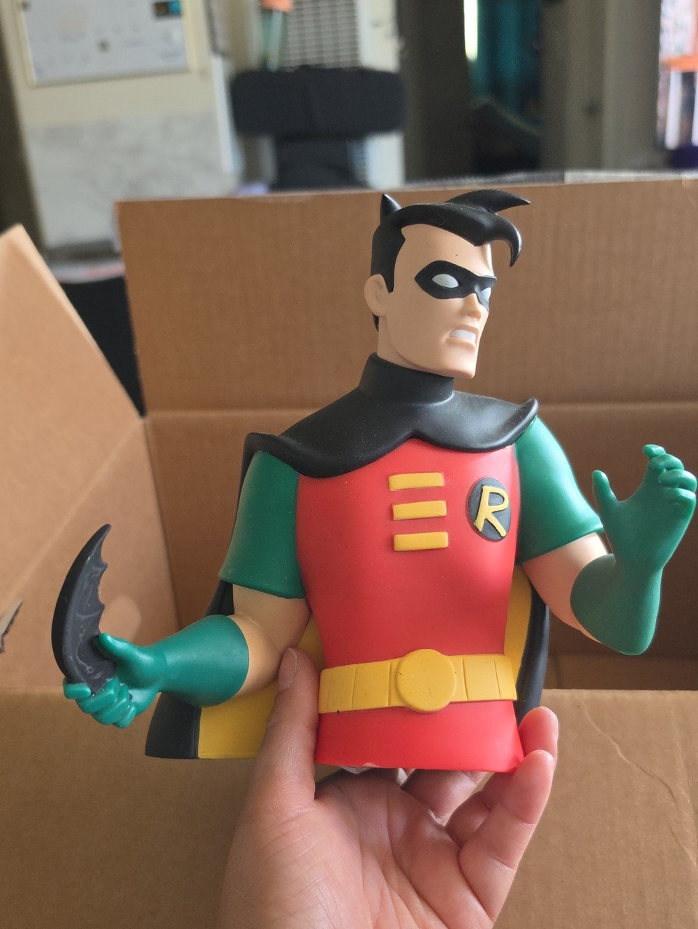 Robin coin bust